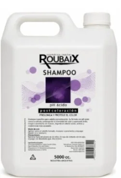 ROUBAIX SH POST COLOR PH ACIDO X 5L